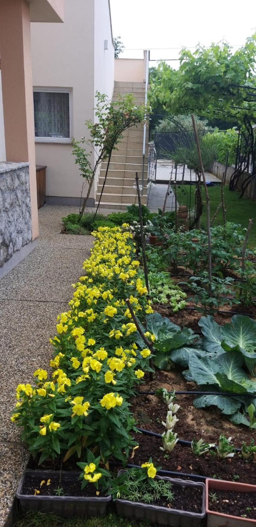 Apartmani Anita Malinska Exterior photo